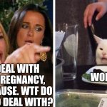 Smudge that darn cat with Karen | WOMEN DEAL WITH PERIODS, PREGNANCY, AND MENOPAUSE. WTF DO MEN HAVE TO DEAL WITH? WOMEN. | image tagged in smudge that darn cat with karen | made w/ Imgflip meme maker