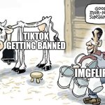 milking the cow | TIKTOK GETTING BANNED; IMGFLIP | image tagged in milking the cow | made w/ Imgflip meme maker