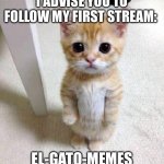 New stream of cat memes | I ADVISE YOU TO FOLLOW MY FIRST STREAM:; EL-GATO-MEMES | image tagged in memes,cute cat,cats,funny cats,stream | made w/ Imgflip meme maker