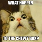 Scared Cat | WHAT HAPPEN; TO THE CHEWY BOX? | image tagged in memes,scared cat | made w/ Imgflip meme maker