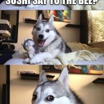 read it allowed and you'll get it | WHAT DID THE SUSHI SAY TO THE BEE? WASSUP BEE | image tagged in memes,bad pun dog | made w/ Imgflip meme maker