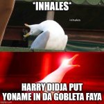 Inhaling Seagull  | *INHALES*; HARRY DIDJA PUT YONAME IN DA GOBLETA FAYA | image tagged in inhaling seagull | made w/ Imgflip meme maker