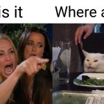 Helo | He is it; Where am i | image tagged in memes,woman yelling at cat | made w/ Imgflip meme maker