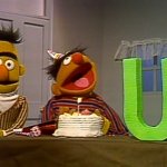 Happy Bert Day