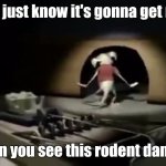 The Prophecy is True | You just know it's gonna get real; When you see this rodent dancing | image tagged in raymond the mouse dancing | made w/ Imgflip meme maker