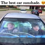 Harry Potter Sun shade