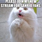 Begging Cat | PLEASE JOIN MY NEW STREAM FOR SANRIO FANS: | image tagged in begging cat | made w/ Imgflip meme maker