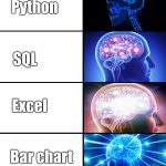 It's too technical.. | It's too technical.. Python; SQL; Excel; Bar chart | image tagged in expanding brain 4 panels | made w/ Imgflip meme maker