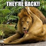 lion licking balls | THEY'RE BACK!! | image tagged in lion licking balls | made w/ Imgflip meme maker