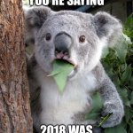 Surprised Koala Meme | WAIT, SO YOU’RE SAYING; 2018 WAS 7 YEARS AGO | image tagged in memes,surprised koala | made w/ Imgflip meme maker