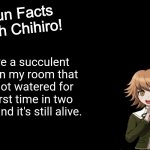 Just felt like sharing this | I have a succulent plant in my room that just got watered for the first time in two years and it's still alive. | image tagged in fun facts with chihiro template danganronpa thh,plants,water,alive | made w/ Imgflip meme maker