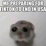 Sad mouse tiktok | ME PREPARING FOR TIKTOK TO END IN USA | image tagged in sad mouse tiktok | made w/ Imgflip meme maker