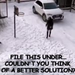 Problem Solving? | FILE THIS UNDER...
COULDN'T YOU THINK 
OF A BETTER SOLUTION? | image tagged in gifs,not the sharpest knife in the drawer,first world problems,solution,things you cannot unsee,split | made w/ Imgflip video-to-gif maker