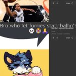 bro who let furries start ballin'?