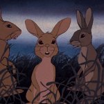 Fiver (Watership Down)