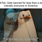 tiktok ban | TikTok: Gets banned for less than a day

Literally everyone in America: | image tagged in private internal screaming,tiktok,tiktok sucks,tiktok ban,ban,banned | made w/ Imgflip meme maker