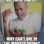 Can a worker drone hold these limes for him? | WHY CAN'T I HOLD ALL THESE LIMES!? WHY CAN'T ONE OF THE WORKER DRONES HOLD SOME OF THESE!? | image tagged in memes,why can't i hold all these limes,murder drones | made w/ Imgflip meme maker