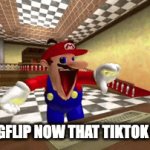 let's get this to the front page plz! | POV: IMGFLIP NOW THAT TIKTOK IS GONE | image tagged in gifs,memes,funny,imgflip,tiktok,smg4 | made w/ Imgflip video-to-gif maker