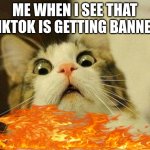 me when i see tiktok ban | ME WHEN I SEE THAT TIKTOK IS GETTING BANNED | image tagged in memes,scared cat | made w/ Imgflip meme maker