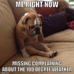 Wish you were here summer | ME RIGHT NOW; MISSING COMPLAINING ABOUT THE 100 DEGREE WEATHER | image tagged in bulldogsad,cold weather | made w/ Imgflip meme maker