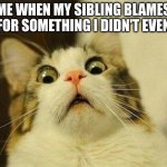 Scared Cat | ME WHEN MY SIBLING BLAMES ME FOR SOMETHING I DIDN'T EVEN DO | image tagged in memes,scared cat | made w/ Imgflip meme maker