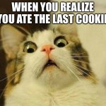 Not the cookie! | WHEN YOU REALIZE YOU ATE THE LAST COOKIE | image tagged in memes,scared cat | made w/ Imgflip meme maker