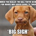 Dissapointed puppy | WHEN YOU REALIZE THE BALL YOU'VE BEEN CHASING FOR HOURS WAS NEVER GOING TO THROW ITSELF; *BIG SIGH* | image tagged in dissapointed puppy | made w/ Imgflip meme maker