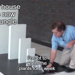 Whoopsie | My house is now a jungle; Forgot to water the plants for a week | image tagged in domino effect,memes,funny,plants,jungle,tag | made w/ Imgflip meme maker