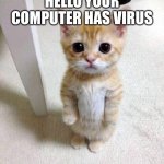 Cute Cat | HELLO YOUR COMPUTER HAS VIRUS | image tagged in memes,cute cat | made w/ Imgflip meme maker