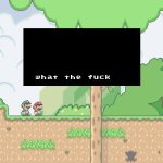 smw what the fuck meme