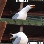 Finally Snowing | IT'S; FINALLY; SNOWING; IN MY HOMETOWN!!!! | image tagged in memes,inhaling seagull,weather,funny,snow,jpfan102504 | made w/ Imgflip meme maker