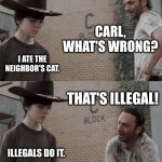 Rick and Carl | CARL, WHAT'S WRONG? I ATE THE NEIGHBOR'S CAT. THAT'S ILLEGAL! ILLEGALS DO IT. | image tagged in memes,rick and carl | made w/ Imgflip meme maker