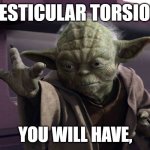 Torsion Testicular you shall have | TESTICULAR TORSION; YOU WILL HAVE, | image tagged in yoda force push | made w/ Imgflip meme maker