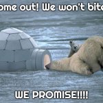 Hellll-o-o-o-o-o- ... . | Come out! We won't bite, WE PROMISE!!!! | image tagged in polar bear igloo | made w/ Imgflip meme maker