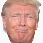 Trump in Big Suite
