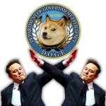 DOGE-X