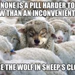 A hard truth | NONE IS A PILL HARDER TO SWALLOW THAN AN INCONVENIENT TRUTH…; BEWARE THE WOLF IN SHEEP’S CLOTHING | image tagged in wolf in sheep s clothing | made w/ Imgflip meme maker