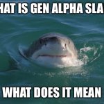 Why is Gen Alpha Slang | WHAT IS GEN ALPHA SLANG; WHAT DOES IT MEAN | image tagged in inquisitive shark | made w/ Imgflip meme maker