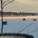 Ice fish