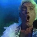 Ric Flair Whooooooh!! GIF Template