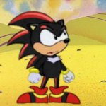 Adventures of shadow the hedgehog meme