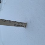 Southerner Measure Snow