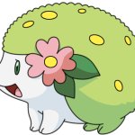 Beta Shaymin