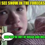 Even Worse Than Seeing Dead People | I SEE SNOW IN THE FORECAST; AND YOU'RE OUT OF BREAD AND MILK! | image tagged in memes,i see dead people,heres johnny,snow,forecast | made w/ Imgflip meme maker