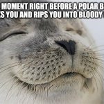 Satisfied Seal Meme | THE MOMENT RIGHT BEFORE A POLAR BEAR ATTACKS YOU AND RIPS YOU INTO BLOODY PIECES | image tagged in memes,satisfied seal | made w/ Imgflip meme maker