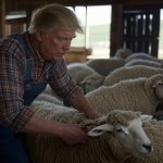 Trump sheep behind MAGA sheering