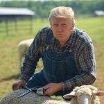 Trump sheep behind MAGA sheering