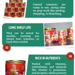 Good Quality Canned Tomatoes