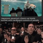 Lonely sunfish | image tagged in gifs,aquarium,sunfish,wholesome 100,memes,it's enough to make a grown man cry | made w/ Imgflip video-to-gif maker