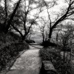 Walking Trail.
